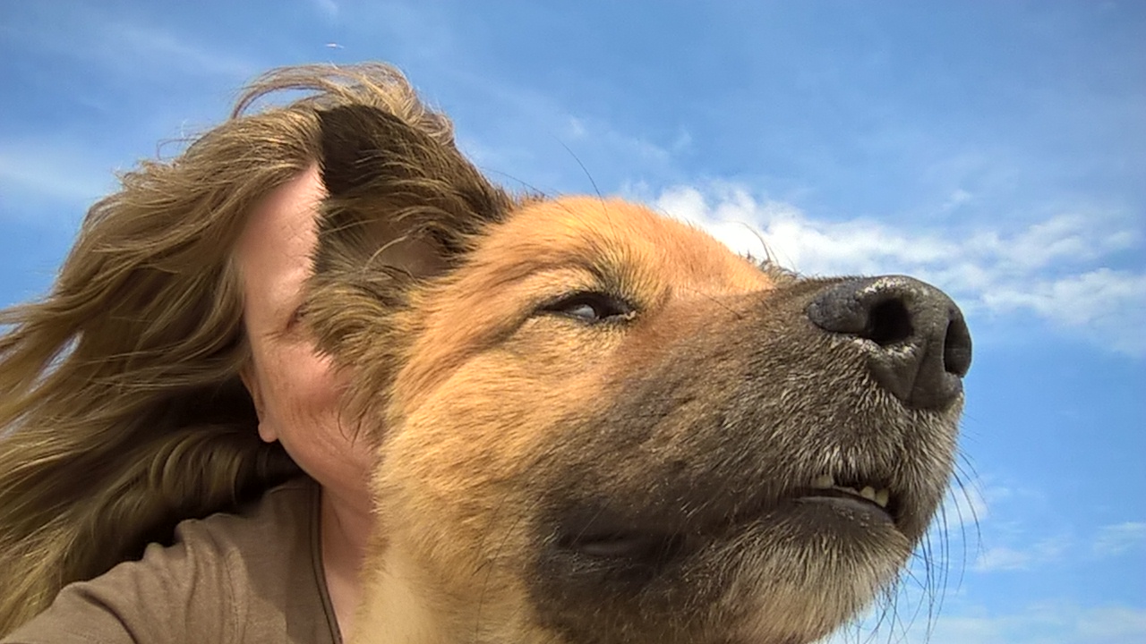 Mareile Heiting mit ihrem Hund
